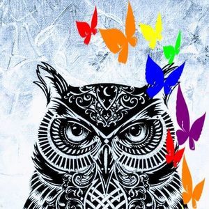 Meet your Posher, Lorie